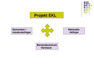 Projekt EKL
