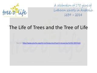 The Life of Trees and the Tree of Life