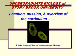Location, mission, &amp; overview of the curriculum ……