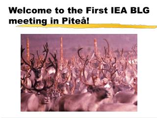 Welcome to the First IEA BLG meeting in Piteå!