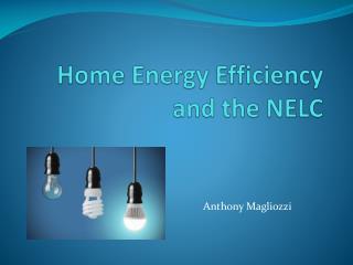Home Energy Efficiency and the NELC