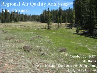 October 22, 2008 Rita Bates New Mexico Environment Department Air Quality Bureau