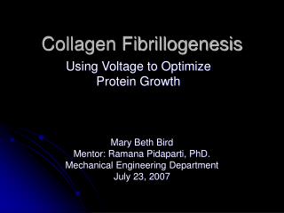 Collagen Fibrillogenesis