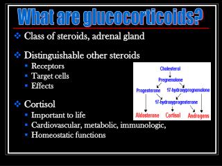 Class of steroids, adrenal gland Distinguishable other steroids Receptors Target cells Effects