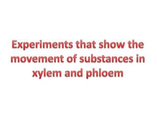 Experiments that show the movement of substances in xylem and phloem