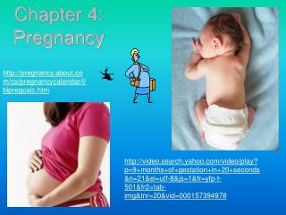 Chapter 4: Pregnancy