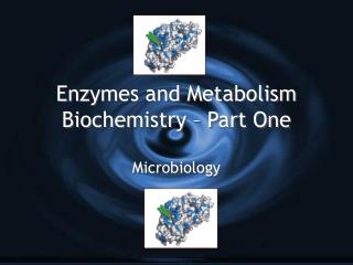 Enzymes and Metabolism Biochemistry – Part One