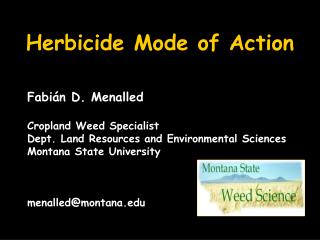 Herbicide Mode of Action
