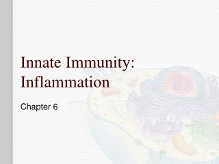 Innate Immunity: Inflammation