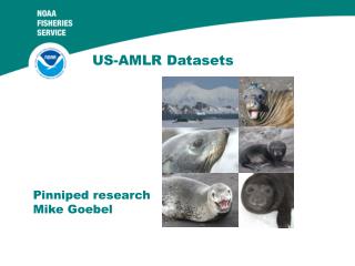 US-AMLR Datasets