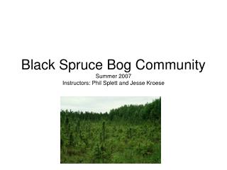 Black Spruce Bog Community Summer 2007 Instructors: Phil Splett and Jesse Kroese