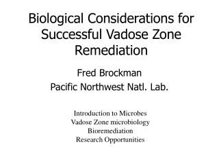 Biological Considerations for Successful Vadose Zone Remediation