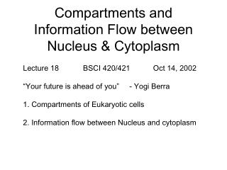 Compartments and Information Flow between Nucleus &amp; Cytoplasm