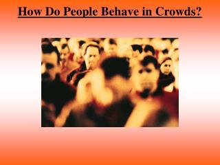 How Do People Behave in Crowds?