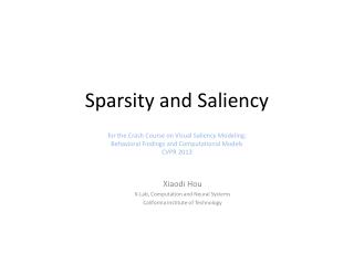 Sparsity and Saliency