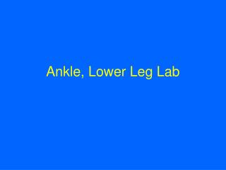 Ankle, Lower Leg Lab