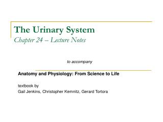 The Urinary System Chapter 24 – Lecture Notes