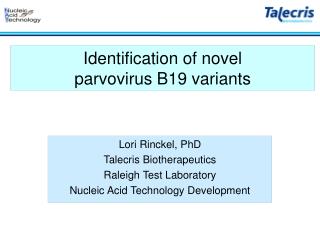 Identification of novel parvovirus B19 variants
