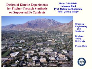 Design of Kinetic Experiments for Fischer-Tropsch Synthesis on Supported Fe Catalysts