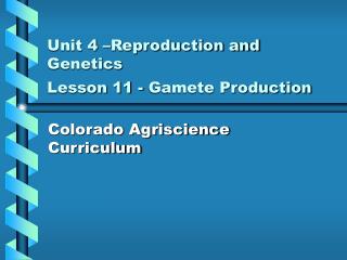 Unit 4 –Reproduction and Genetics Lesson 11 - Gamete Production