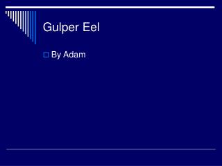 Gulper Eel