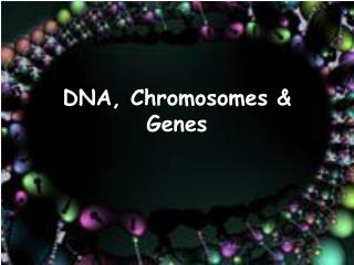 DNA, Chromosomes &amp; Genes