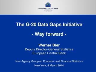 The G-20 Data Gaps Initiative - Way forward -