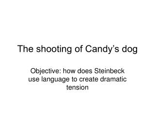 The shooting of Candy’s dog