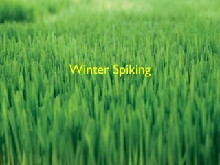 Winter Spiking