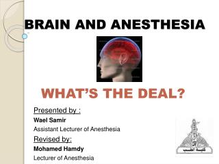 BRAIN AND ANESTHESIA