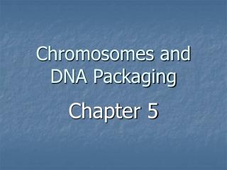 Chromosomes and DNA Packaging
