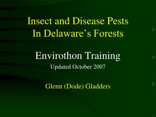 Insect and Disease Pests In Delaware’s Forests