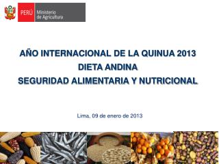 AÑO INTERNACIONAL DE LA QUINUA 2013 DIETA ANDINA SEGURIDAD ALIMENTARIA Y NUTRICIONAL