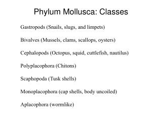 Phylum Mollusca: Classes