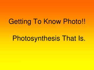 Getting To Know Photo!! Photosynthesis That Is.