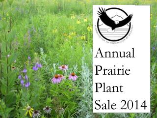 Annual Prairie Plant Sale 2014