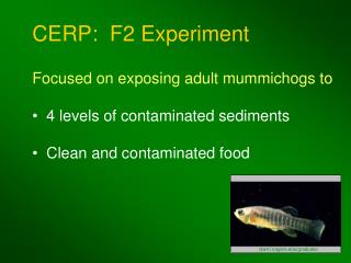 CERP: F2 Experiment