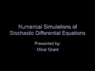 Numerical Simulations of Stochastic Differential Equations