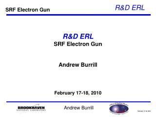 R&amp;D ERL SRF Electron Gun