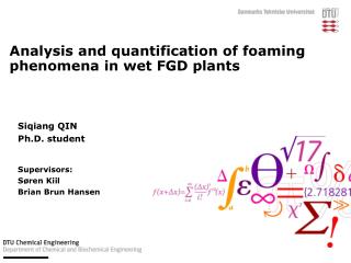 Analysis and quantification of foaming phenomena in wet FGD plants