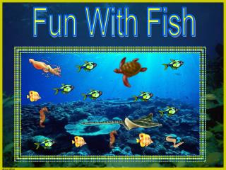 Fun With Fish