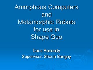 Amorphous Computers and Metamorphic Robots for use in Shape Goo