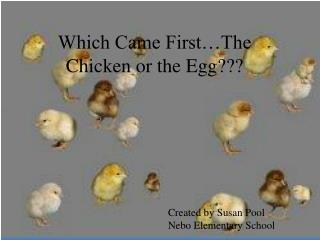 Which Came First…The Chicken or the Egg???