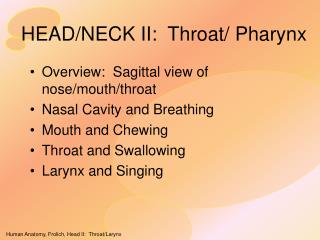 HEAD/NECK II: Throat/ Pharynx