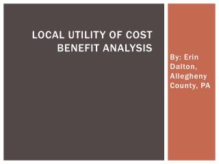 Local Utility of Cost Benefit Analysis