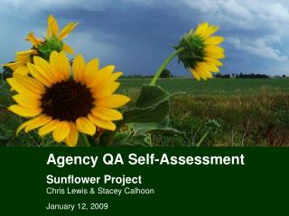 Agency QA Self-Assessment Sunflower Project Chris Lewis &amp; Stacey Calhoon