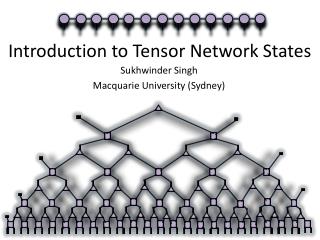 Introduction to Tensor Network States