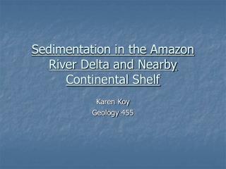 Sedimentation in the Amazon River Delta and Nearby Continental Shelf