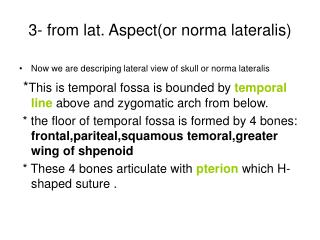 3- from lat. Aspect(or norma lateralis)