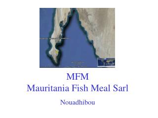 MFM Mauritania Fish Meal Sarl